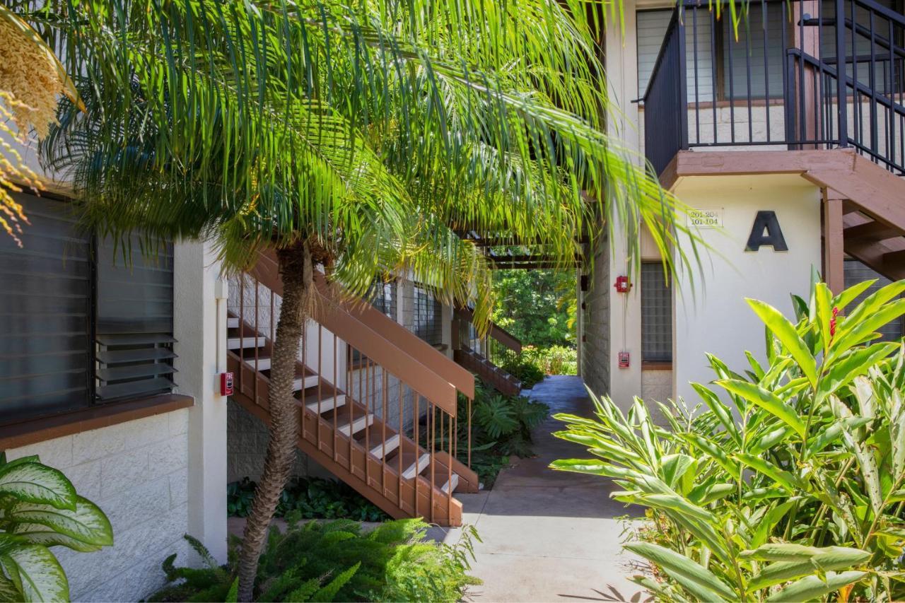 קיהיי Beautiful 1 Bedroom Condo With Ocean Views | Oceanfront מראה חיצוני תמונה